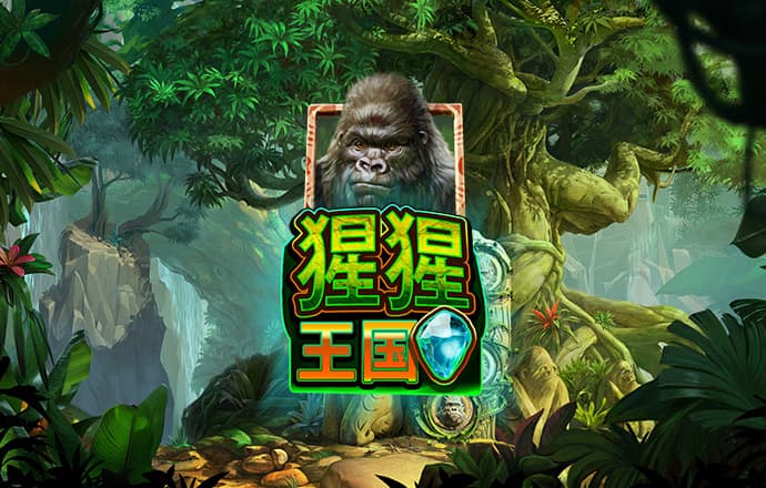 bob·体育综合app